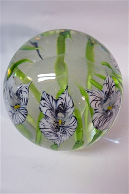 Daniel Lotton Magnum Paperweight Black Zebra Orchid