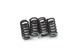 top performance clutch SPRING's for AM6 + aprilia RS50