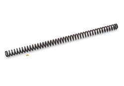 EBR hydraulic fork spring
