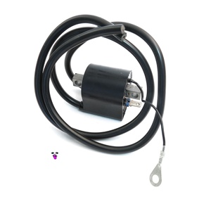 HPI twin cylinder ignition coil