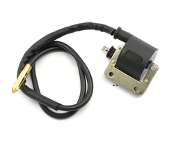 black ignition coil