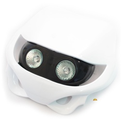 white dual wide eyed headlight fairing