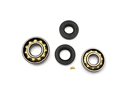 puch ZA50 bearing and seal party