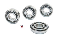 puch E50 complete bearings set 6203
