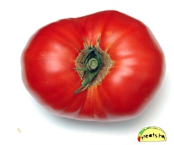 a kinda big tomato