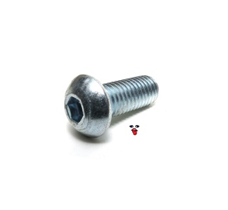 tomos OEM allen bolt - m10 x 25mm