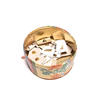 vintage polini pin