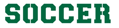 SOCCER Team/Activity Driveway Logo