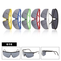 Novelty Sun Glasses 616