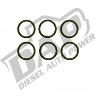 Delivery Valve Replacement O-rings