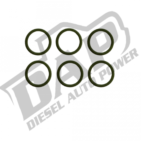 Delivery Valve Replacement O-rings