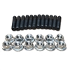Crazy Carls Exhaust Manifold Studs and Nuts
