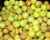 300 Assorted Yellow Range Golf Balls - Grade 3A/2A Mix