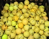 300 Assorted Yellow Range Golf Balls - Grade 4A/3A Mix