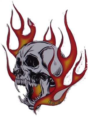 Angled Skull Flames / Fire Full color Graphic Window Decal Sticker