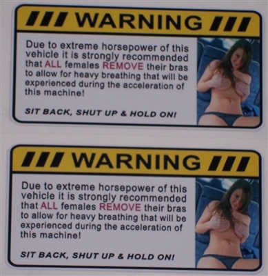 STYLE #2 WARNING Due to Extreme HP Sexy Warning Decals PAIR