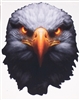 Angry Glowing Eye Eagle Head Full color Graphic Decal Sticker
