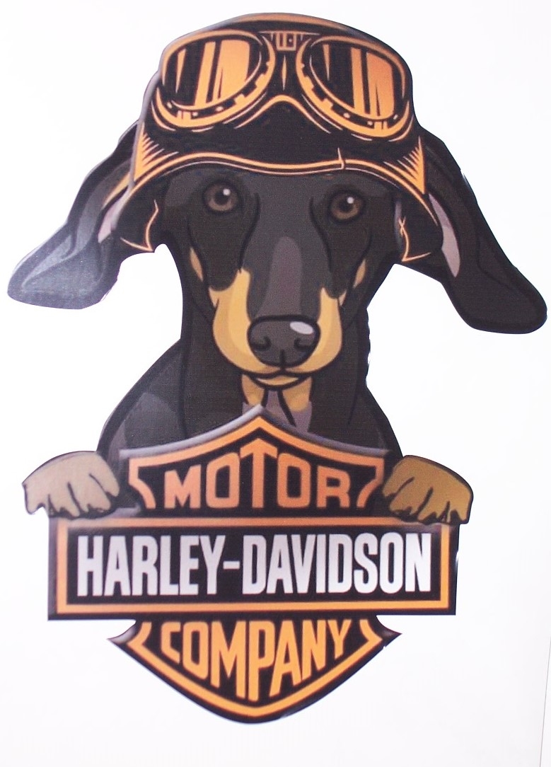 Stickers et autocollant Harley davidson