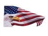 Eagle Head Waving American Flag Full color Graphic Window Decal Sticker