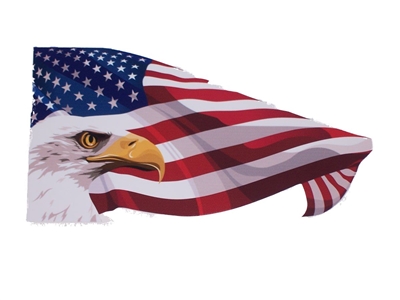 Eagle Head Waving American Flag Full color Graphic Window Decal Sticker