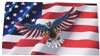 FULL COLOR American W/ Angry Attack Eagle Skull Full color Graphic Window Decal Sticker