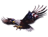 Front facing Wings out American Flag Attack Eagle #4 Full color Graphic Window Decal Sticker