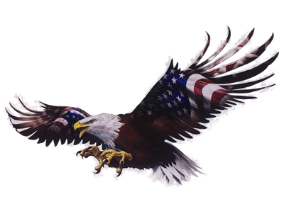 Front facing Wings out American Flag Attack Eagle #4 Full color Graphic Window Decal Sticker