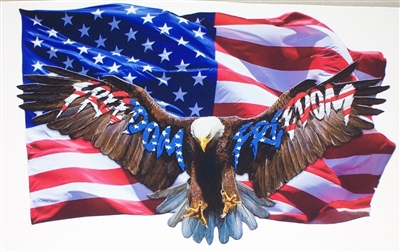 American Flag FREEDOM Eagle Full color Graphic Window Decal Sticker