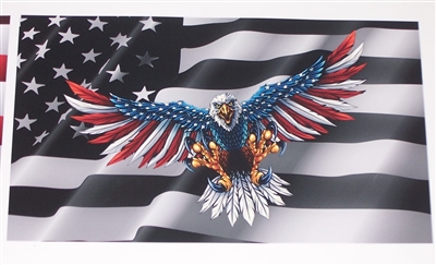 Black & White American Flag with Wing out attack Eagle Full color Graphic Window Decal Sticker