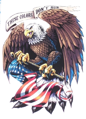 These colors don't run #2 American Flag Eagle Home of free Full color Graphic Window Decal Sticker