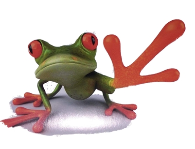 Grabbing Tree Frog Decal Sticker