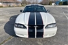 white mustang w/ Red & Black 2 Color Dual Stripe Kit