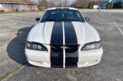white mustang w/ Red & Black 2 Color Dual Stripe Kit