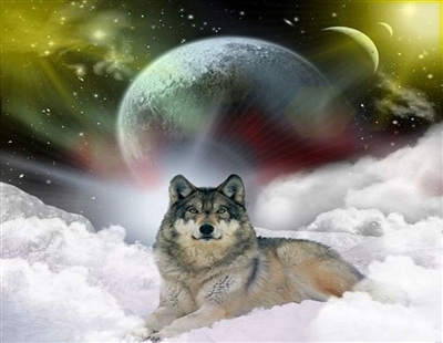 Wolf in Clouds Wall