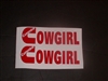 Cummins Cowgirl Small Decals