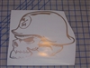 Metal Militia Skull Window 8X10 Decal/Sticker