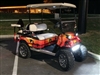 EZGO w/ FULL COLOR FULL WRAP TROPICAL PALM TREE  Graphics Set