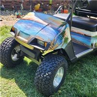 EZGO w/ FULL COLOR FULL WRAP Beach Scene PALM TREE Graphics Set