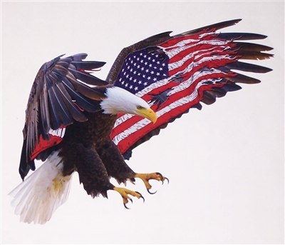 American Flag Attack Eagle #2 Full color Graphic Window Decal Sticker