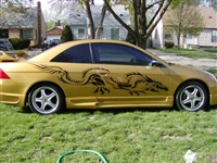 Gold Car w/ Black Dragon Graphics #2 16"x74"
