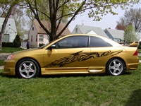 Gold Car w/ Black Dragon side graphics #2 size 18"X84"