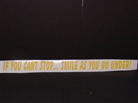 If you cant stop... Smile as you go under!!