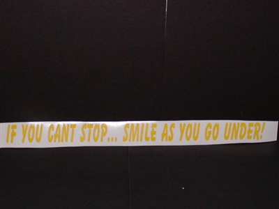 If you cant stop... Smile as you go under!!