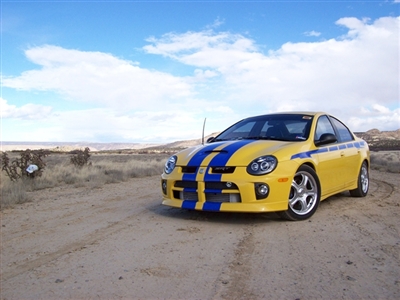 Black Dodge Neon SRT w/ Silver 8" Rally Stripes