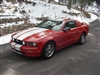 red Mustang w/ White 10" Rally Stripe Kit
