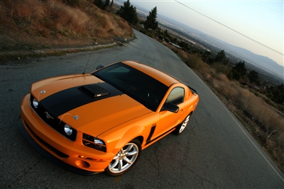 Orange Mustang w/ Black 16.5" Hood Stripe