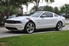 white Mustang w/ Red & Black Fender Hash Mark