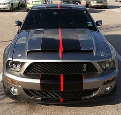 Gray Mustang w/ Black & Red 10" 2 Color Rally Stripe Set