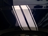 Black Mustang w/ White Twin Hash Mark Stripes