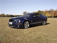 Blue Mustang w/ White Hash Mark Stripes